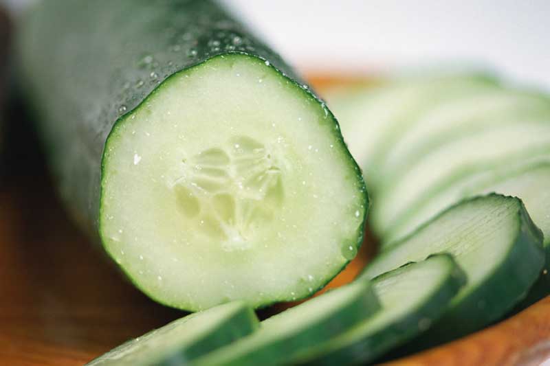 Cucumbers - The Dirty Dozen