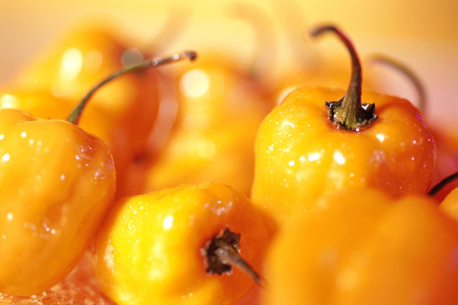 Hot peppers