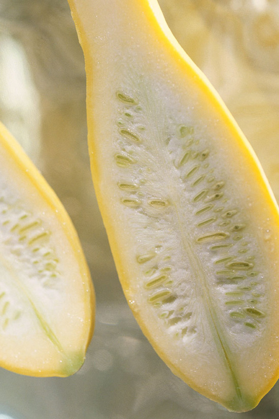 Summer squash