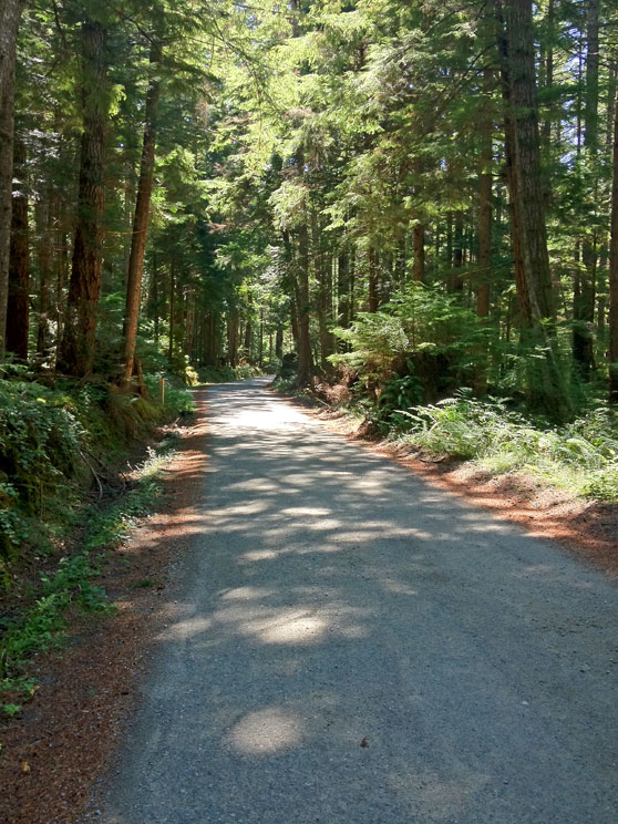 1 Driveway