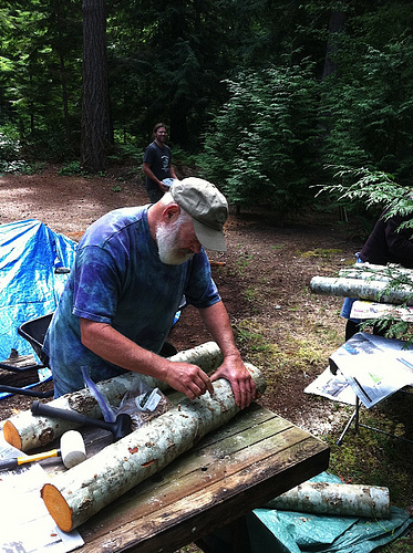 Spacing Shiitake Plug Spawn