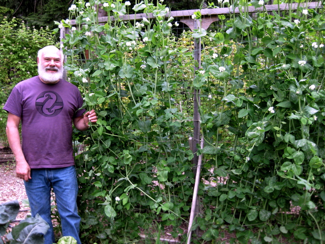 Climbing the Trellis