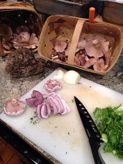 Preparing Our Freshly Foraged Mushrooms