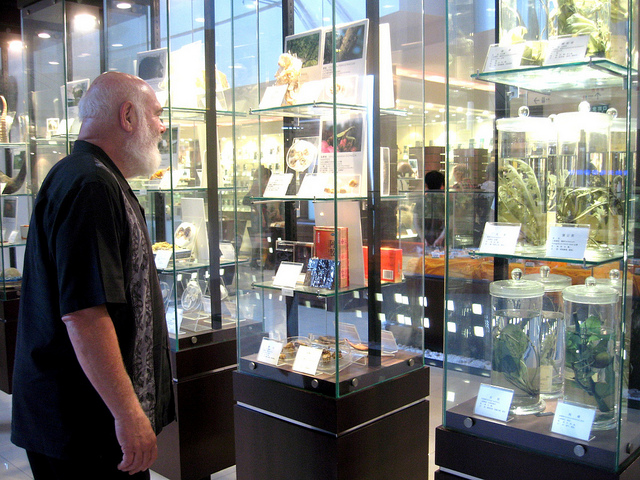 Learning the Language