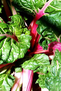 Swiss Chard Inside