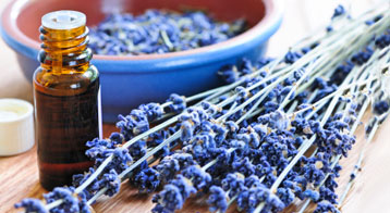 aromatherapy essential oils