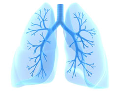 asthma inside