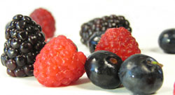 berries fight cancer inside