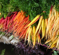 betacarotene vegetables