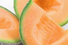 cantaloupe