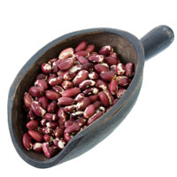 cooking with legumes anasazi beans