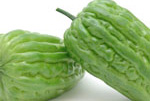 diabetes care bitter melon