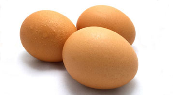 salmonellosis salmonella bacteria eggs