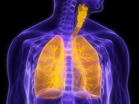 emphysema and copd inside