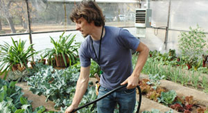 feed the soil inside