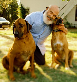 fight fleas naturally inside