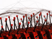 hair loss brush hairs inside 2