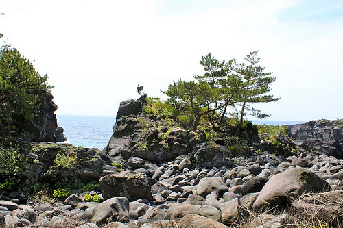 Kannon Cove
