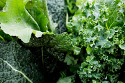 calcium leafy greens