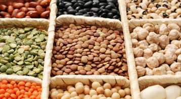 copper legumes beans