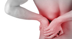 low back pain inside