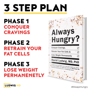 essay healthy diet essay healthy diet