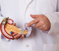 pancreas