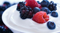 probiotics yogurt inside