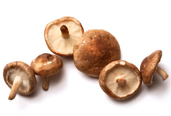 shiitake mushrooms