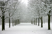 snow cold weather remedies inside