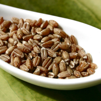 spelt how to cook