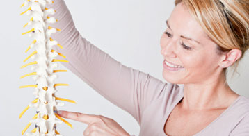 alexander technique spine