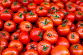 tomato pile