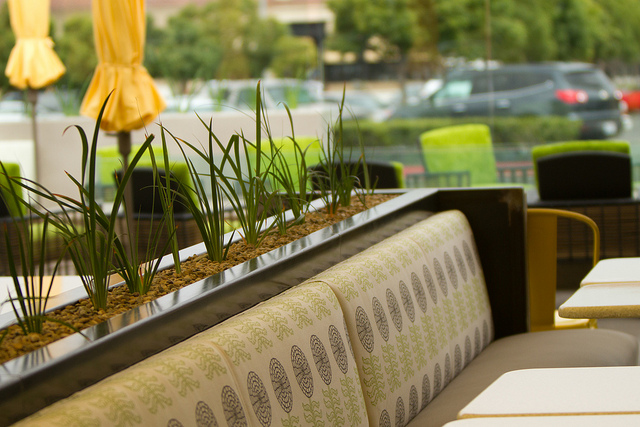 A Beautiful Outdoor Dining Area