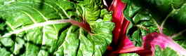 vitamin K chard inside