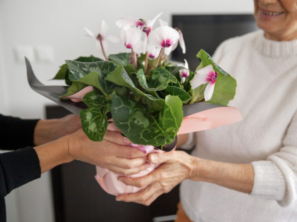 Choosing a Healthy Mother&#039;s Day Gift?