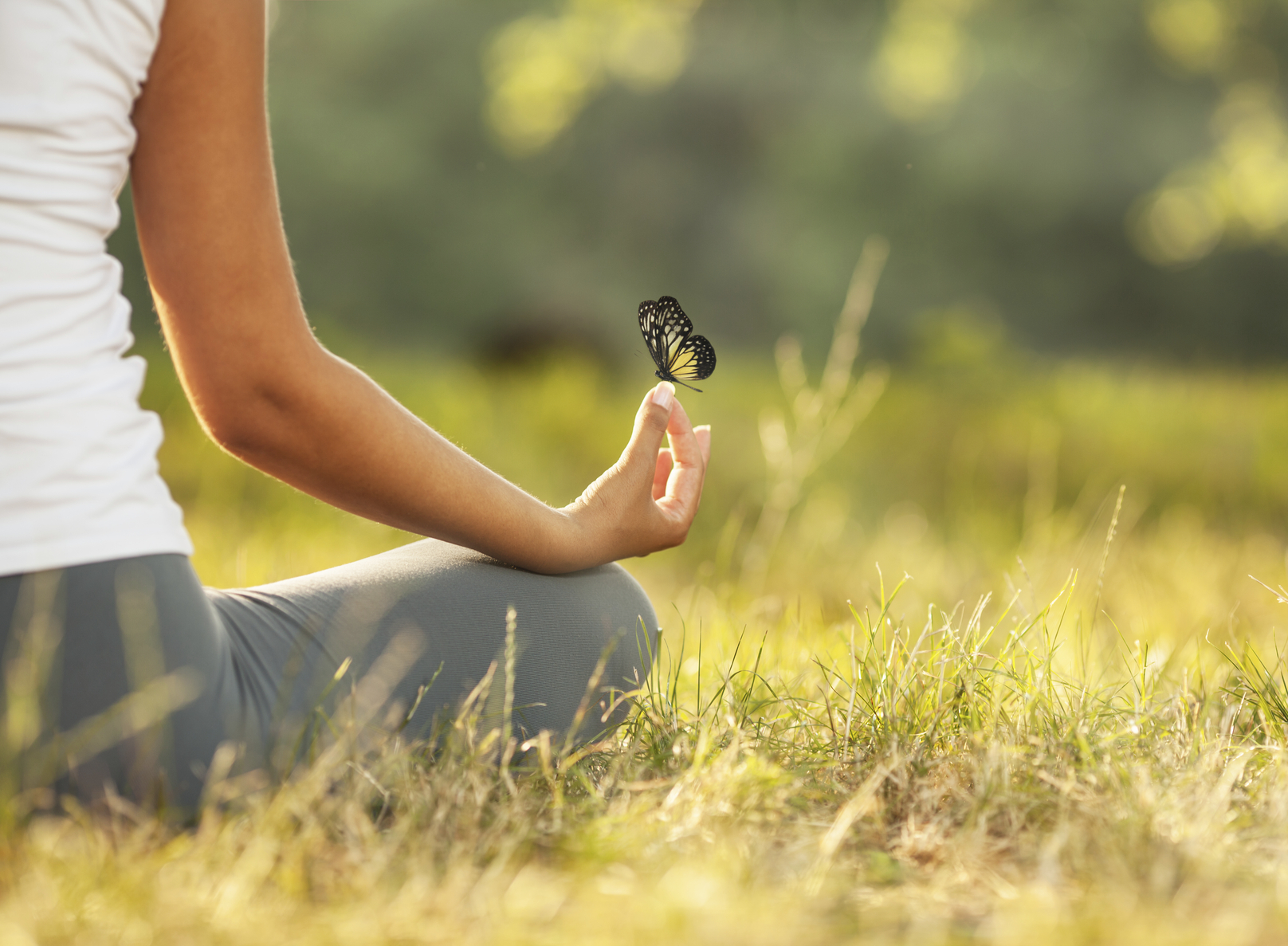 Healing Meditation Self Healing Dr. Weil