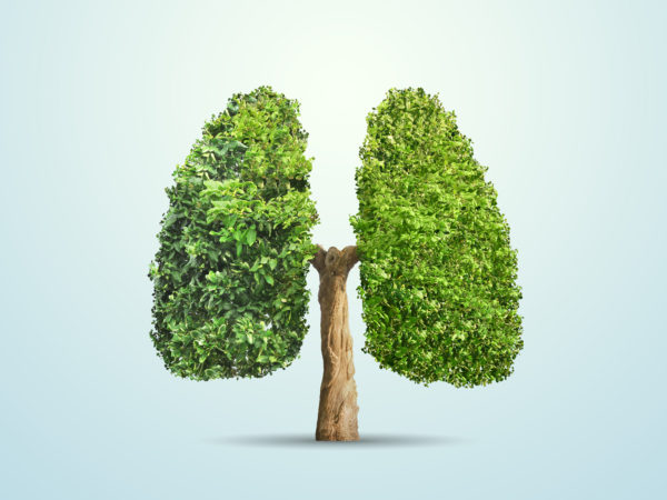 Pulmonary Embolism | Condition Care Guide | Andrew Weil, M.D.