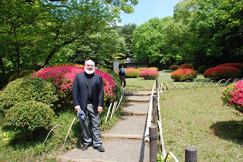 Azaleas In Meiji Shrine