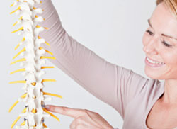 alexander technique spine