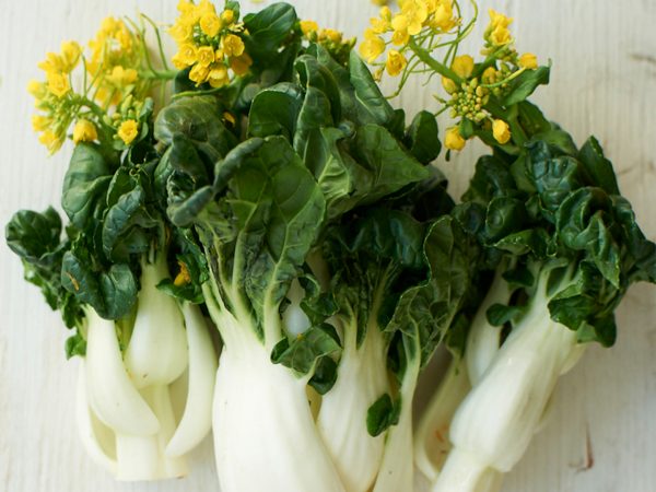 4 Favorite Anti-Inflammatory Foods | Bok Choy | Andrew Weil, M.D.
