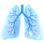 lungs_QA