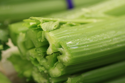 Celery