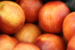 Nectarines