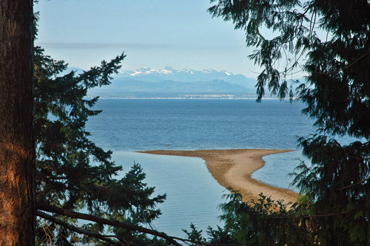 Water view