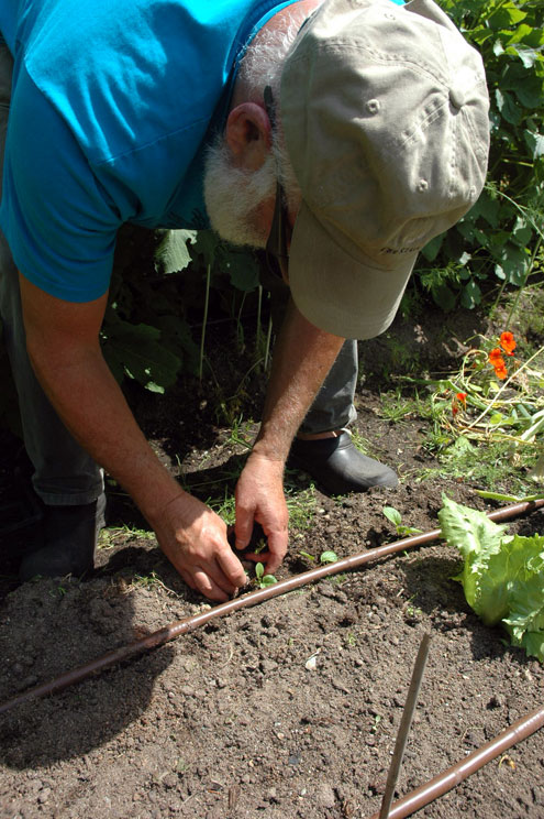 Gardening in Canada