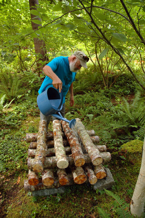 9 Watering Alder Logs 2