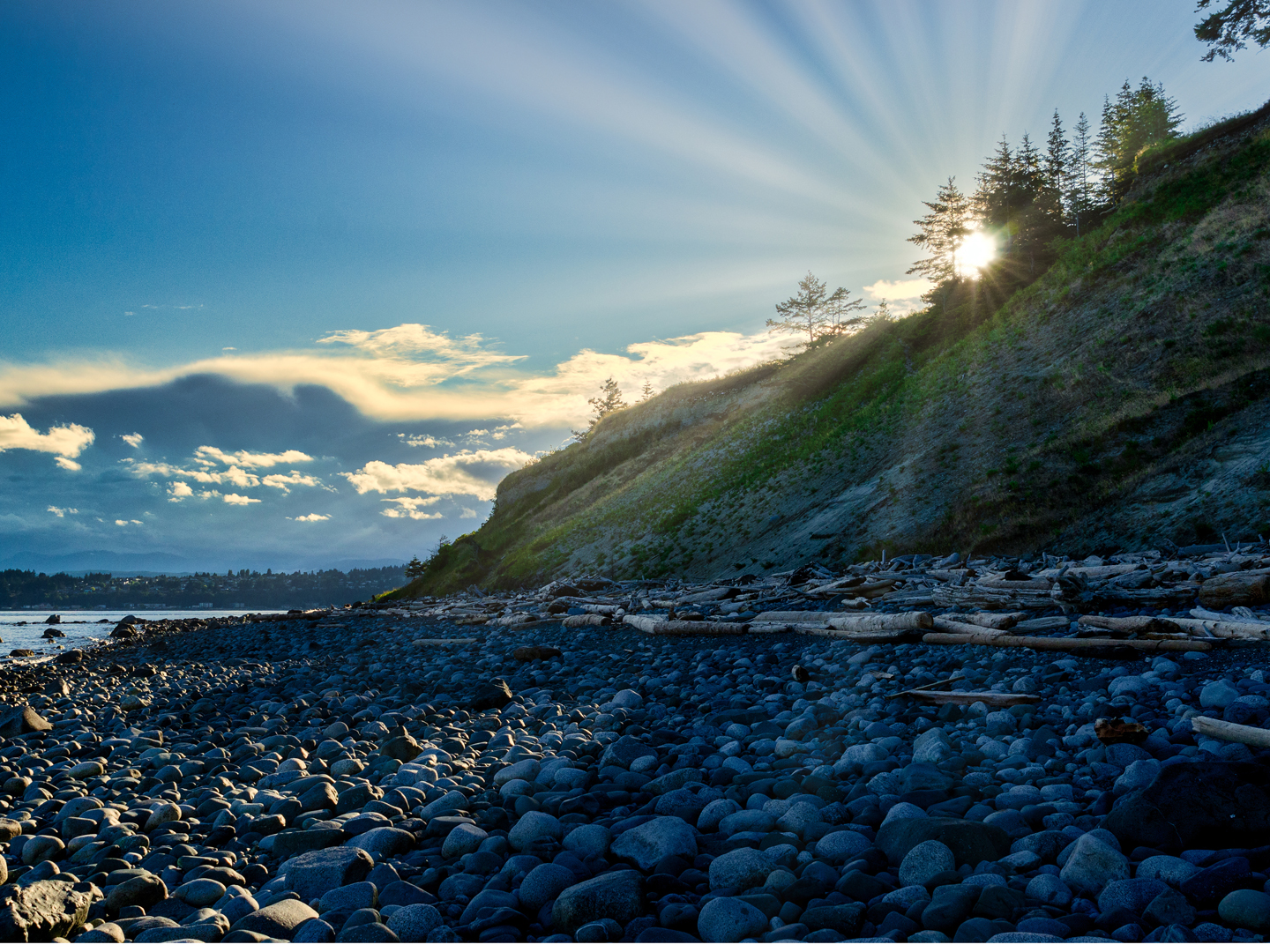 Summer Life In British Columbia Andrew Weil M D 