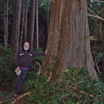 dr weil forest