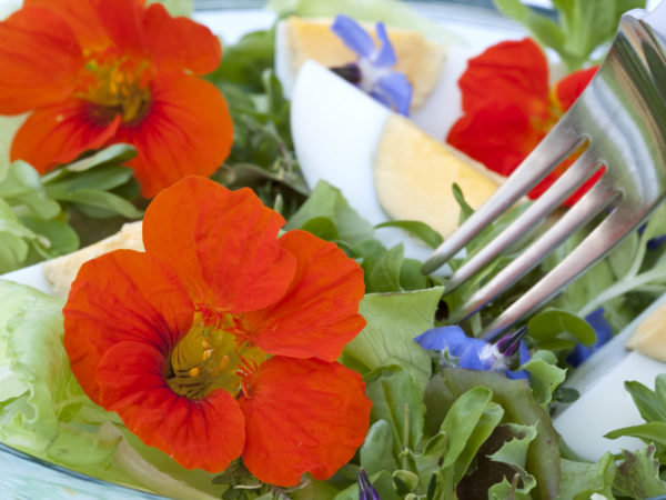 Can you eat that weed? All about edible flowers.